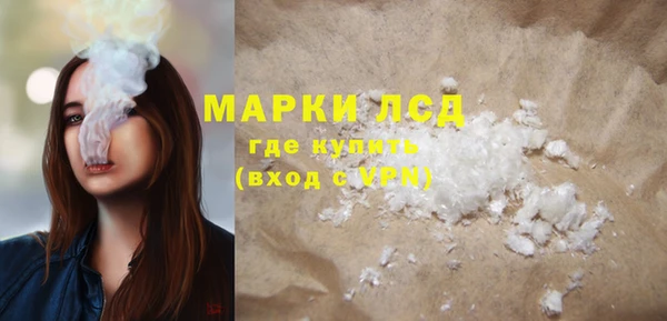 гидропоника Гусев