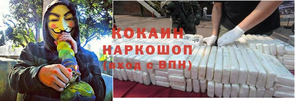 гидропоника Гусев
