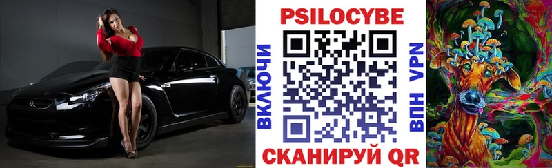 Псилоцибиновые грибы Cubensis  Купить закладки  Мглин 